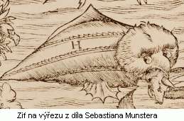 Zif, the sea monster